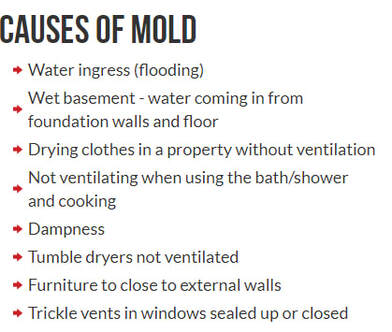 causes of mold 